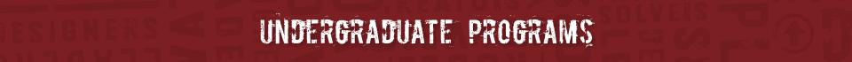 Undergraduate Programs